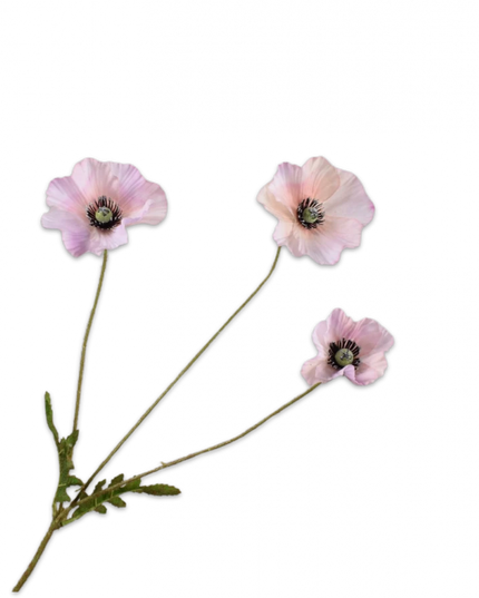 SILK-KA | KLAPROOS TAK ROZE 81 cm