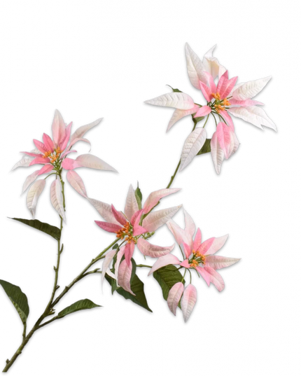 SILK-KA | POINSETTIA TAK ROZE 143 cm