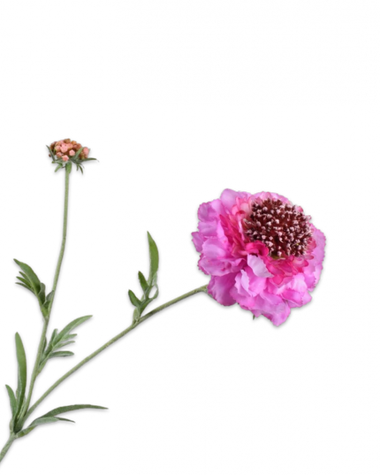 SILK-KA | SCABIOSA TAK LILA 71 cm