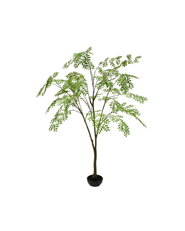 SILK-KA | ARALIA I/POT GROEN 210 cm