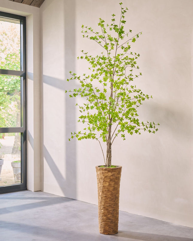 SILK-KA | BUCIDA I/POT GROEN 259 CM
