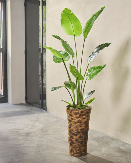 SILK-KA | STRELITZIA GROEN 150 CM