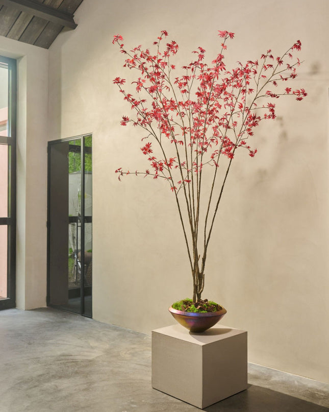 SILK-KA | ACER I/POT ROOD 255 cm