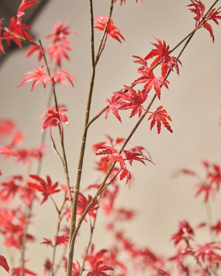 SILK-KA | ACER I/POT ROOD 255 cm