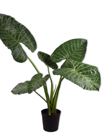 SILK-KA | ALOCASIA GROEN 121 CM