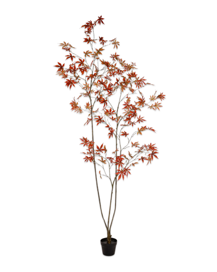 SILK-KA | ACER I/POT ROOD RT UV 228 cm