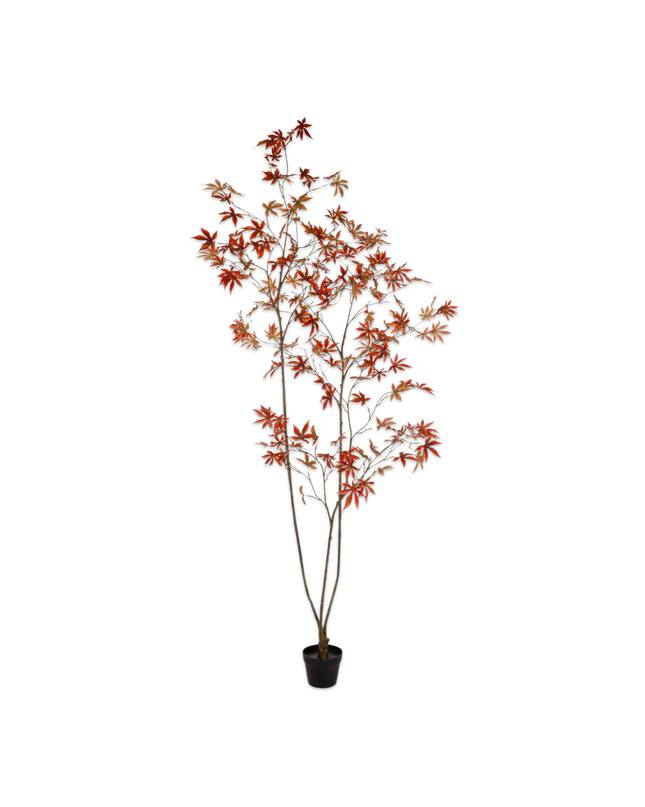 SILK-KA | ACER I/POT ROOD RT UV 228 cm