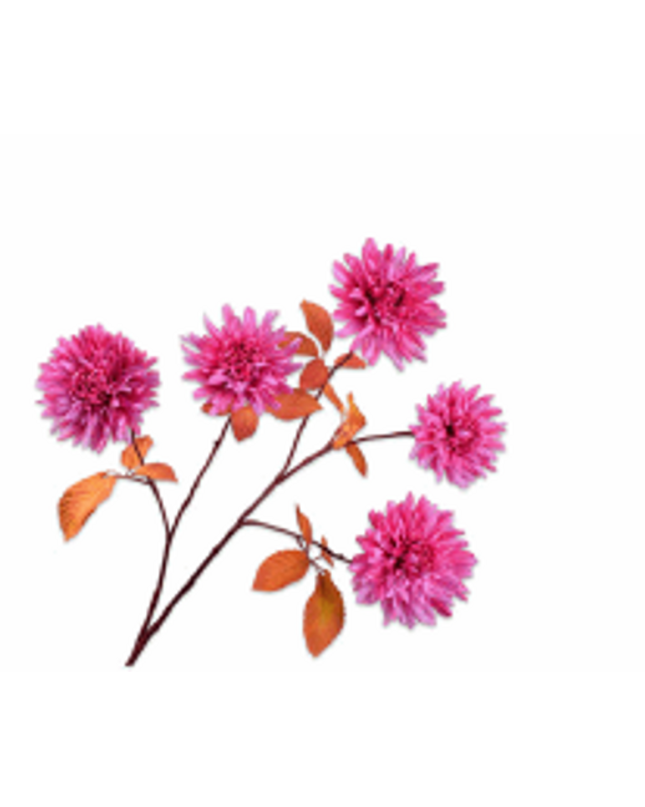 SILK-KA | CHRYSANT TAK BTY/ROZ 105 cm