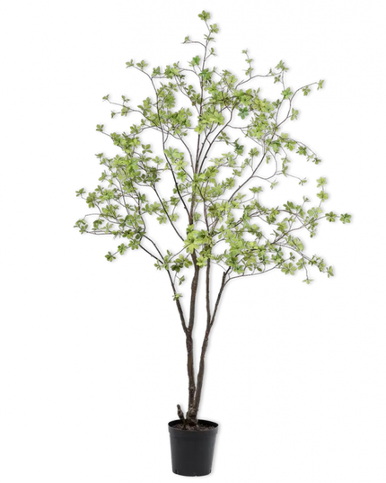 SILK-KA | BUCIDA GROEN 218 CM