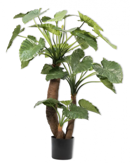 SILK-KA | ALOCASIA GROEN 170 CM