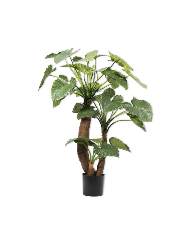 SILK-KA | ALOCASIA GROEN 170 CM