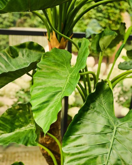 SILK-KA | ALOCASIA GROEN 170 CM