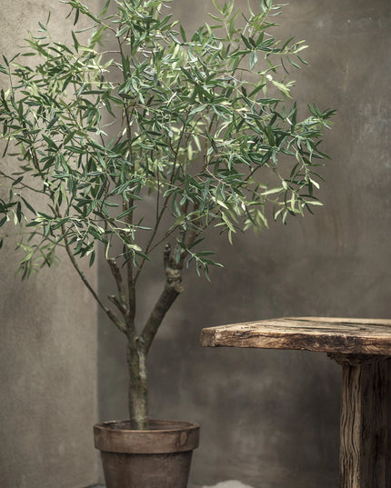 SILK-KA | OLIJF BOOM GROEN 198 CM