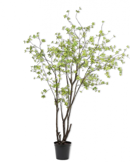 SILK-KA | BUCIDA GROEN 244 CM