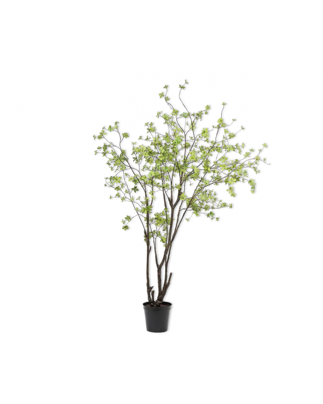 SILK-KA | BUCIDA GROEN 244 CM
