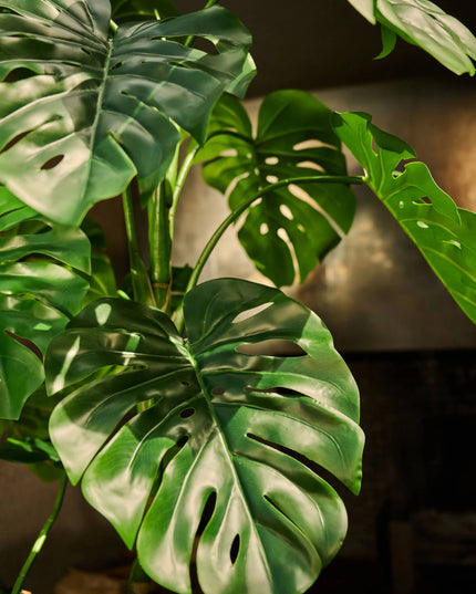 SILK-KA | MONSTERA GROEN 210 CM
