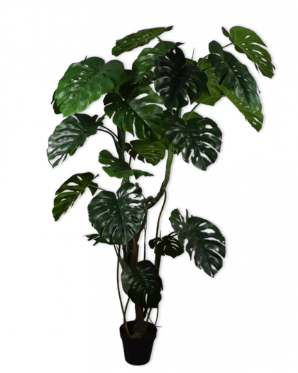 SILK-KA | MONSTERA GROEN 210 CM