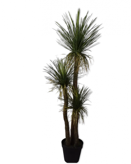 SILK-KA | YUCCA GROEN 180 CM