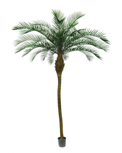 SILK-KA | PALM GROEN 213 CM