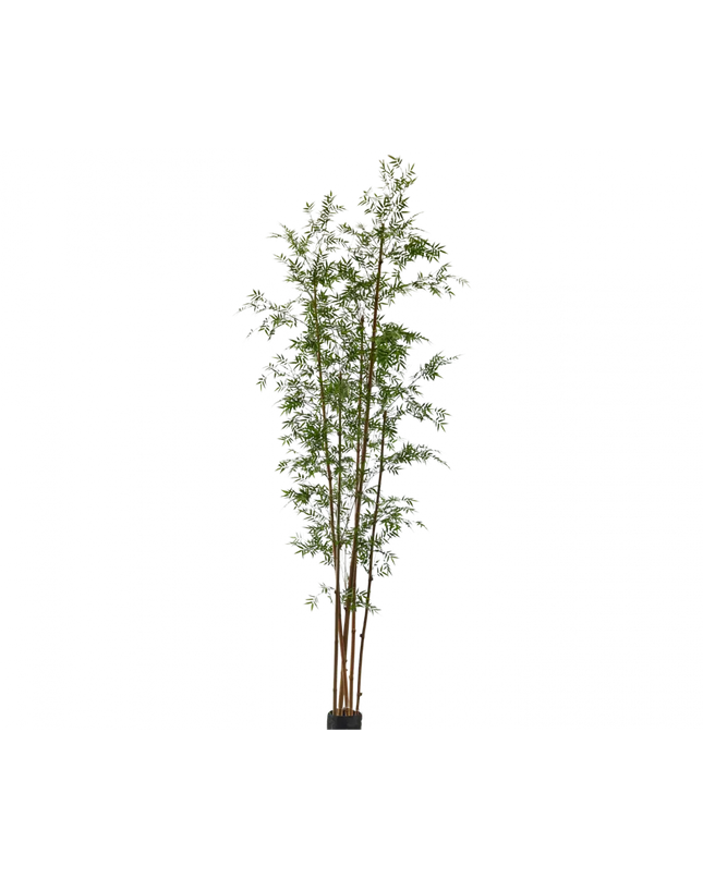 SILK-KA | BAMBOE GROEN 335 CM