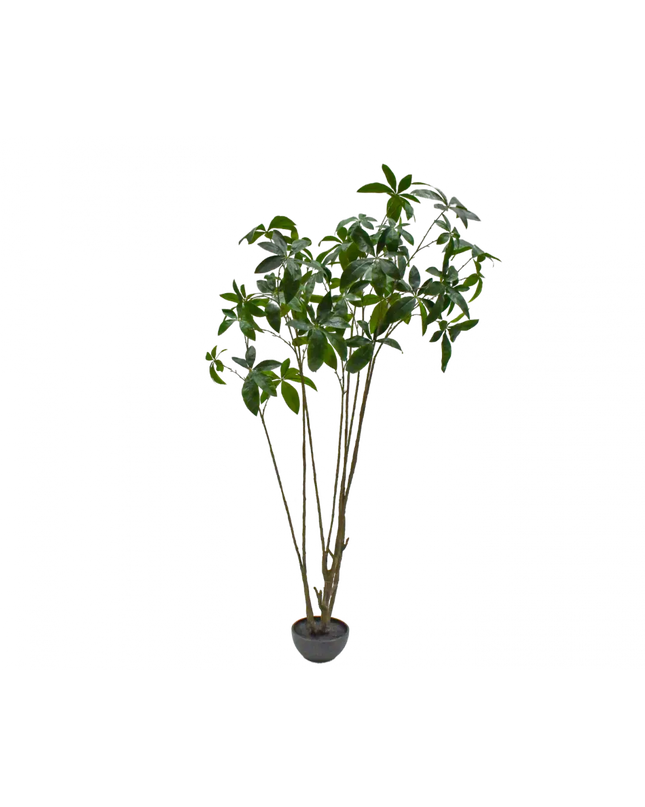 SILK-KA | PLANT GROEN 230 CM