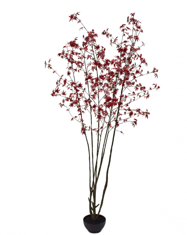 SILK-KA | PLANT ROOD 255 CM