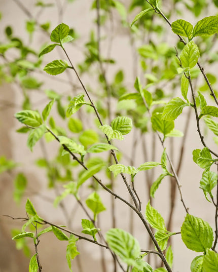 SILK-KA | PLANT GROEN FR 260 CM