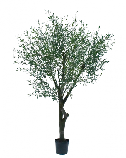SILK-KA | OLIJF BOOM GROEN 305 CM