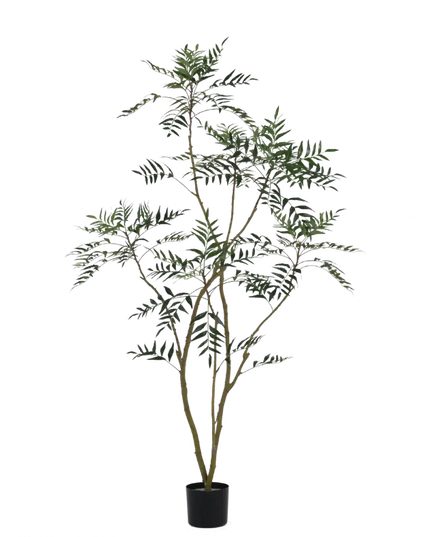 SILK-KA | MAHONIE PLANT GROEN 180 CM