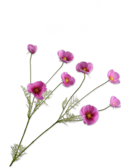 SILK-KA | COSMOS TAK ROZE 104 cm