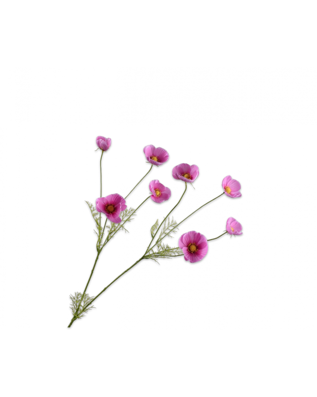 SILK-KA | COSMOS TAK ROZE 104 cm