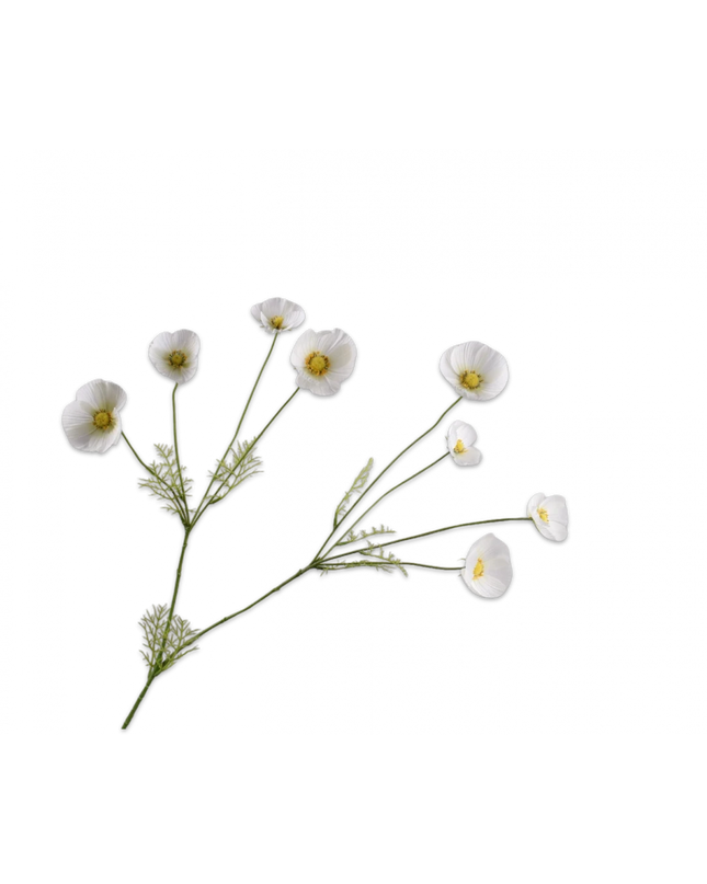 SILK-KA | COSMOS TAK WIT 104 cm