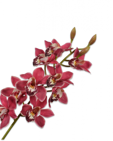 SILK-KA | CYMBIDIUM STEEL 93 cm