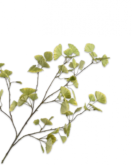 SILK-KA | GINKGO TAK GROEN 120 cm