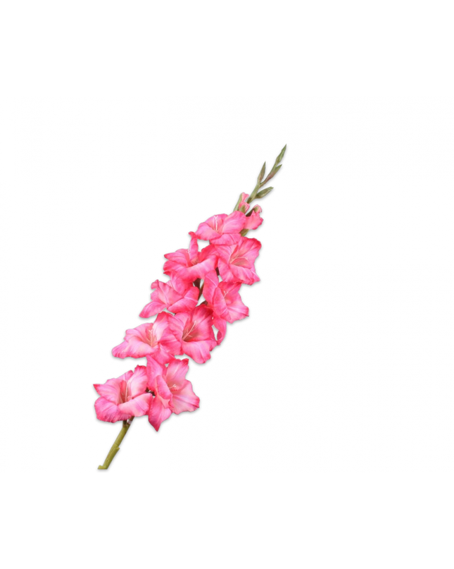 SILK-KA | GLADIOOL STEEL ROZE 101 cm