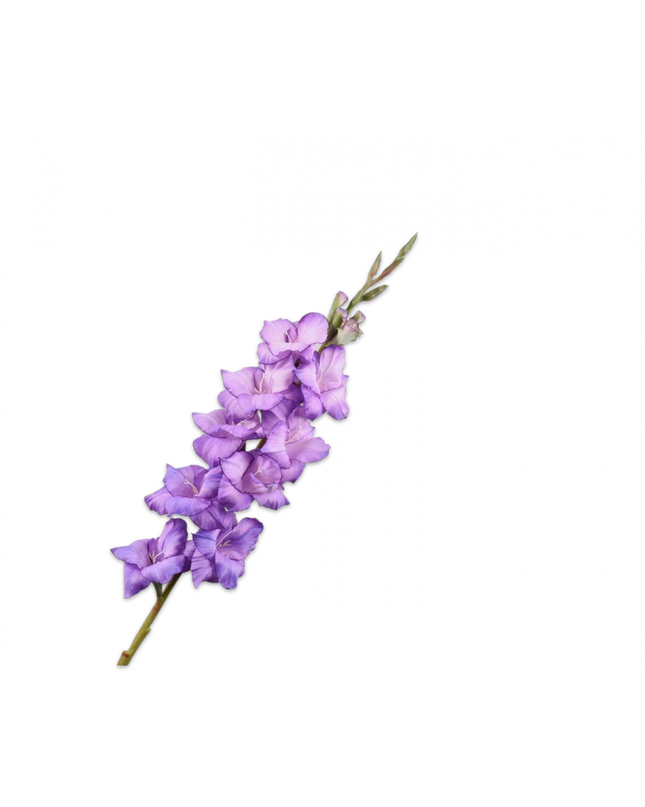 SILK-KA | GLADIOOL STEEL LAVENDEL 101 cm