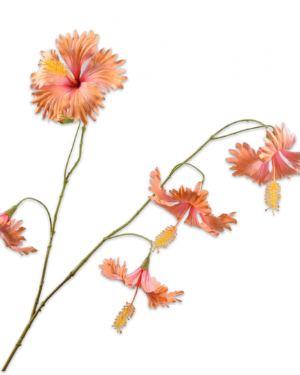 SILK-KA | HIBISCUS TAK PERZIK 111 cm