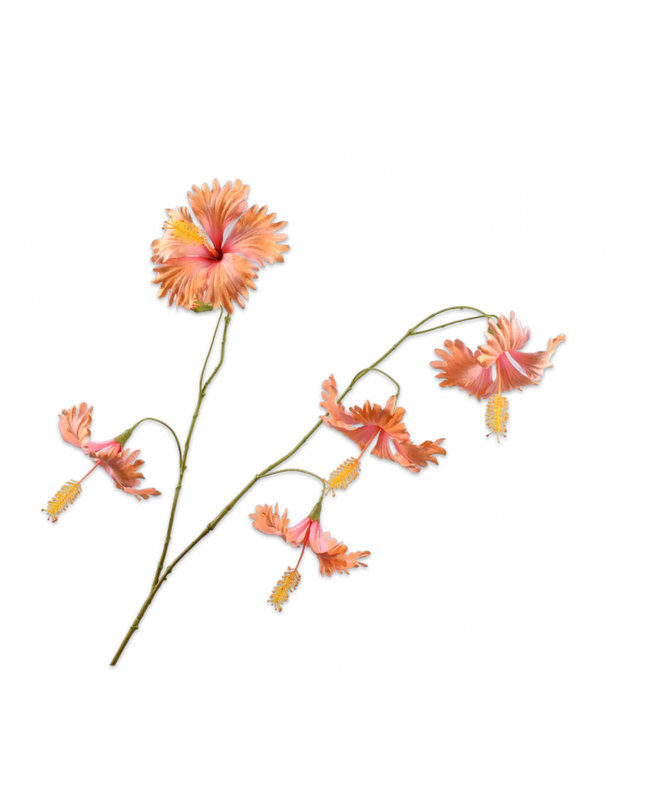 SILK-KA | HIBISCUS TAK PERZIK 111 cm
