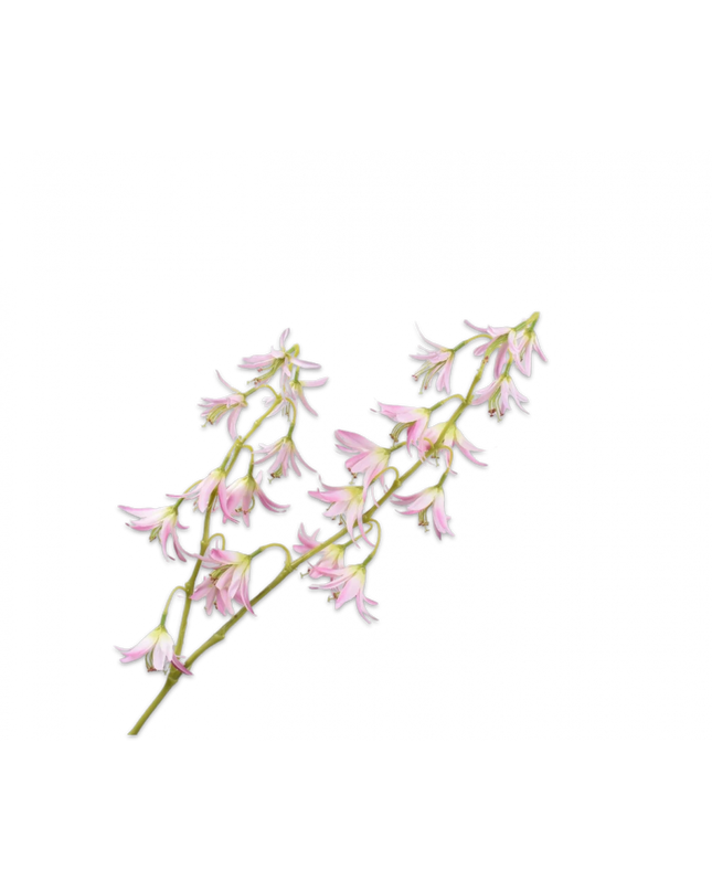 SILK-KA | LELIE TAK ROZE 89 cm