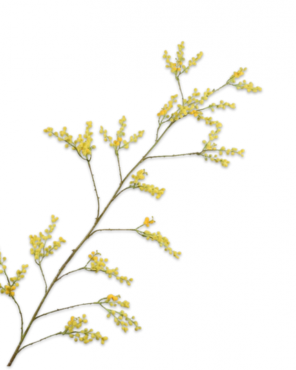 SILK-KA | MIMOSA TAK GEEL 165 cm