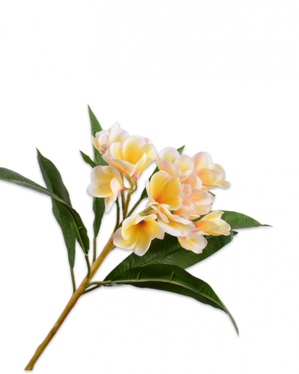 SILK-KA | PLUMERIA TAK CREME 81 cm