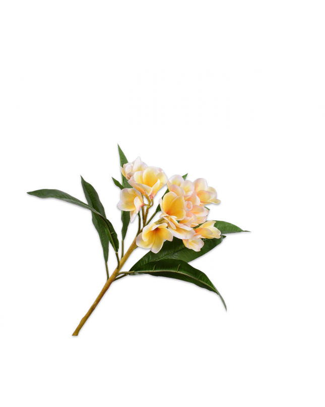 SILK-KA | PLUMERIA TAK CREME 81 cm