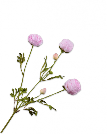 SILK-KA | RANONKEL TAK ROZE 65 cm