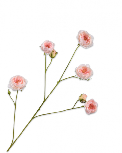SILK-KA | ROOS TAK ROZE 103 cm