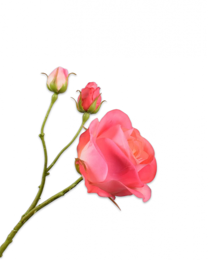 SILK-KA | ROOS TAK ROZE 59 cm