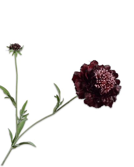 SILK-KA | SCABIOSA TAK PAARS 71 cm