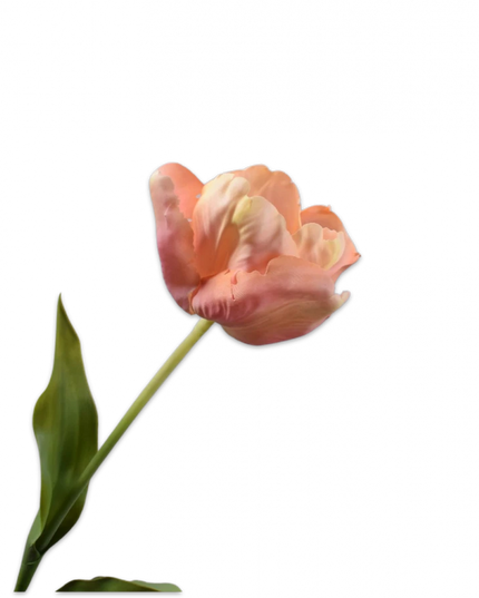 SILK-KA | TULP STEEL ROZE 84 cm