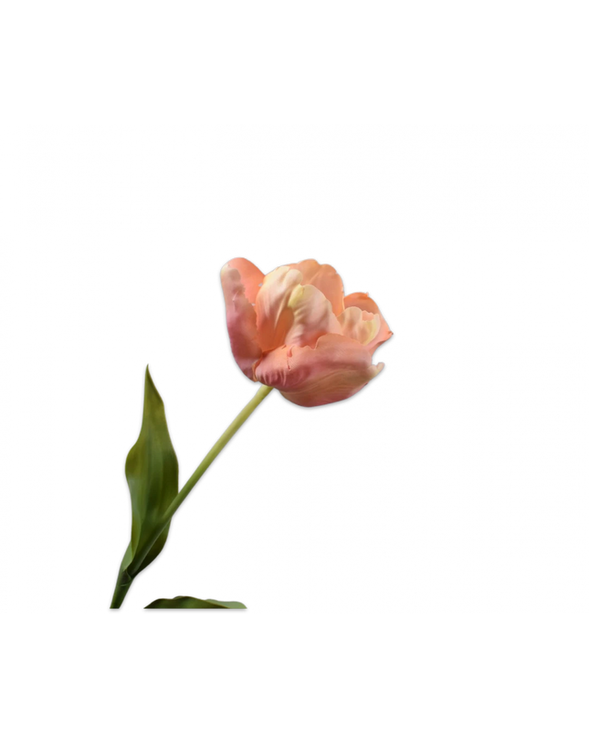 SILK-KA | TULP STEEL ROZE 84 cm