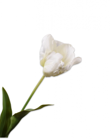 SILK-KA | TULP STEEL WIT 84 cm