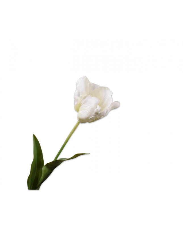 SILK-KA | TULP STEEL WIT 84 cm